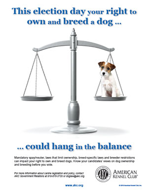 We Own Dogs & We Vote!
